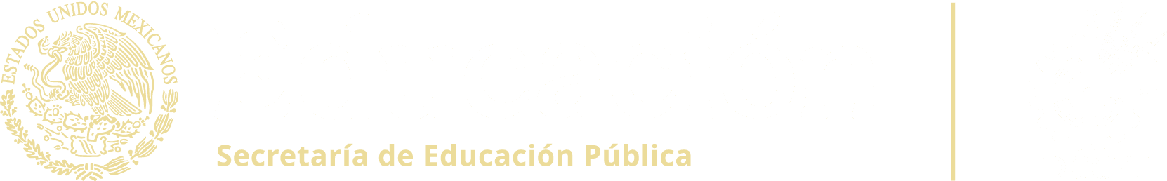 Logo de la SEP, DGCFT y CECATI 31